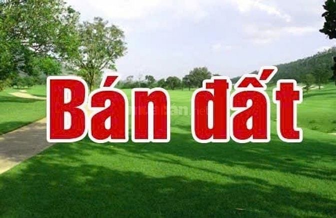 Bán đất xuyên mộc gần 1.3 ha - có sẵn thổ cư 200m2, 85 mặt tiền nhựa