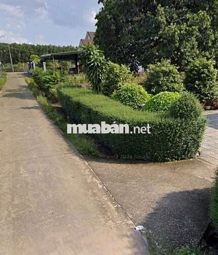 4 LÔ ĐẤT LIỀN KỀ 2000m2 Long Thành, Đồng Nai