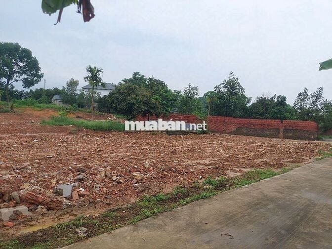 Chính chủ bán đất 194m2 Hiệp Hòa, Bắc Giang