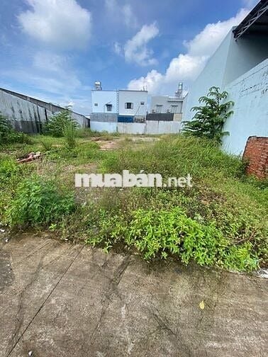 CHÍNH CHỦ GỬI BÁN GẤP 400tr/273m2 MT SUỐI LỘI CỦ CHI , FULL THỔ , SHR