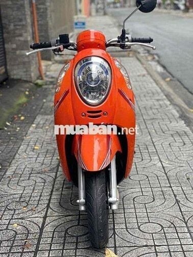 Xe máy móc nguyên Zin