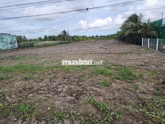 CẦN BÁN GẤP LÔ ĐẤT MẶT TIỀN ĐƯỜNG NHỰA NGUYỄN VĂN KHẠ CỦ CHI