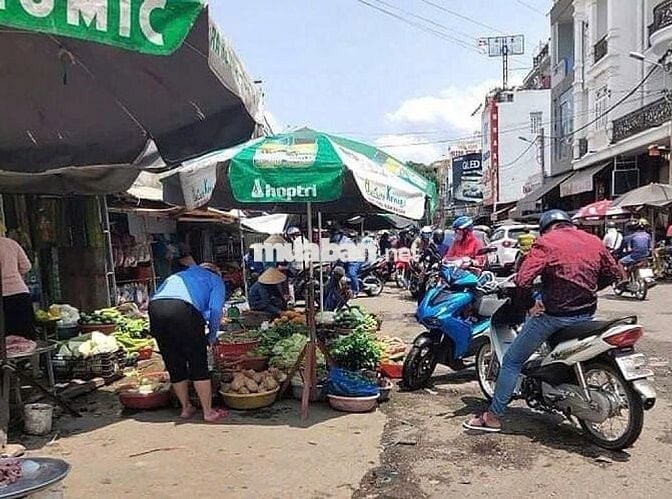 đất thổ cư.260m2 sổ hồng riêng.