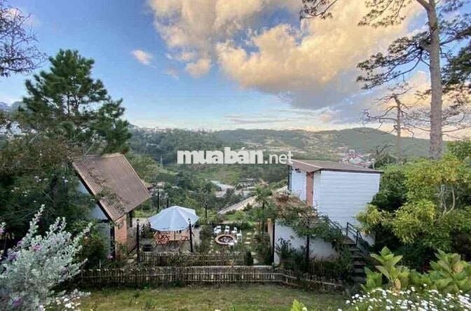 1080m2 750Triệu Đất Vườn View Sân Mây Cần Bán Gấp Tặng Luôn Vườn Hồng