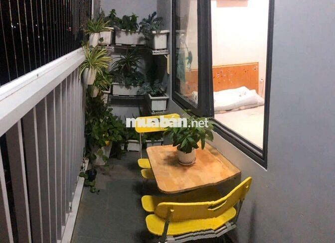 (7671) star tower, bao sổ hồng, full nội thất: 1,350 tỷ.