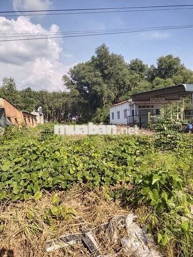 Cách Trường Cấp 3 Đồng Tiến đúng 300m. Hàng VIP để ở - kinh doanh