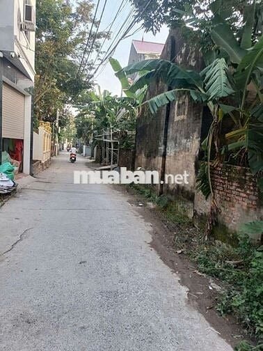 Chính chủ bán 108m fun thổ tại thôn bãi , cao viên, thanh oai, hà nội