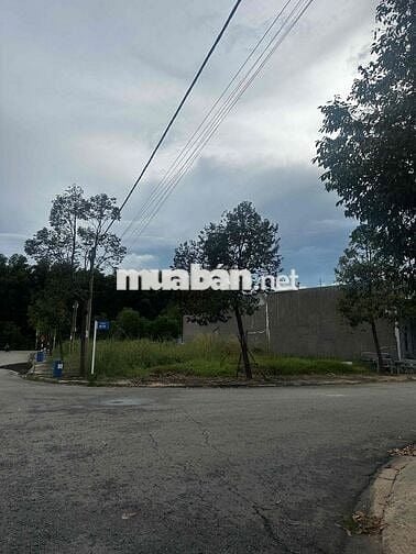 Chính chủ cần bán gấp lô góc 425m2 tại Mỹ Phước 1 giá đầu tư