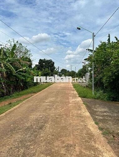 Đất Vườn Tx Chơn Thành ,nhánh QL 13