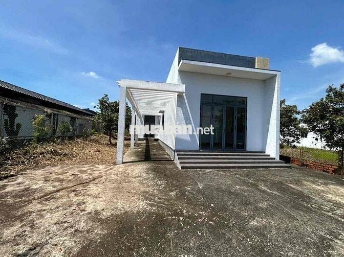 Bán Nhà Vườn 500m2 Đối Diện Bệnh Viện Đa Khoa Tân An