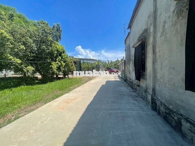 Đất đẹp 225m2 thổ cư trung tâm Đại Hiệp - Dân cư đông, giá siêu tốt!