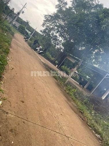 🌿 CẦN BÁN NHANH LÔ ĐẤT ĐẸP Ở LỘC HƯNG – LỘC NINH, BÌNH PHƯỚC 🌿