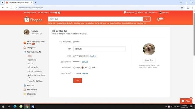 Mèo con maincoon màu đẹp , các bé được 1th tuổi rồi đấy ạ