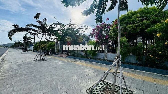 🔺ĐẤT NGHỈ DƯỠNG CÁCH QUẢNG TRƯỜNG PHƯỚC HẢI CHỈ 1,3KM

✅DT 520m2