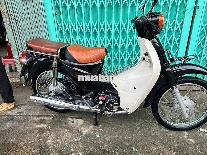 cub 50 cc bstp