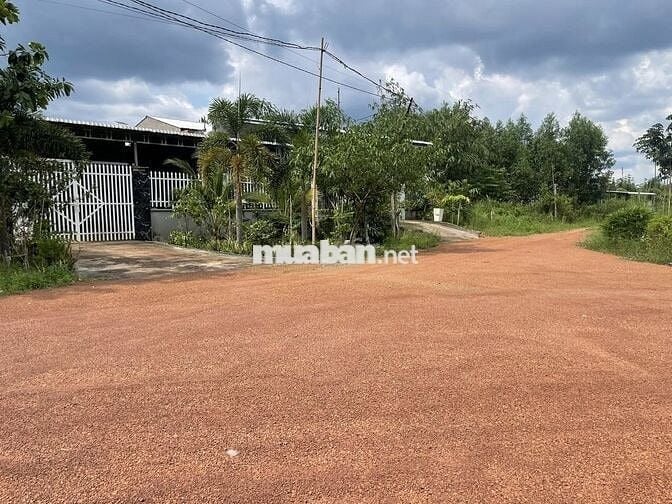 Đất vườn giá ngộp cần sang gấp 1200m2 SHR, công chứng ngay