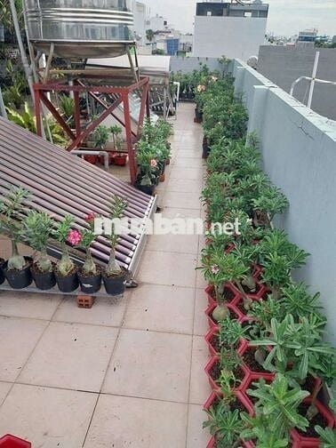 Cho thuê nhà nguyên căn Đường Nguyễn Kiệm Gò Vấp