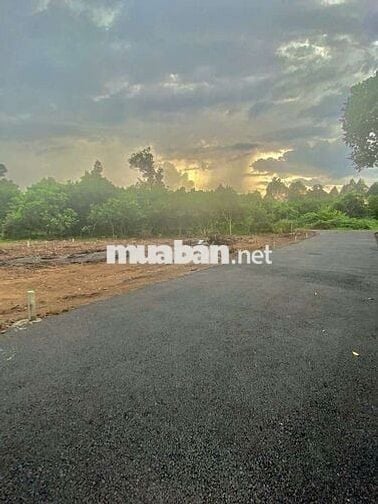 Đất nền mặt nhựa Bình Lộc 5,5x30