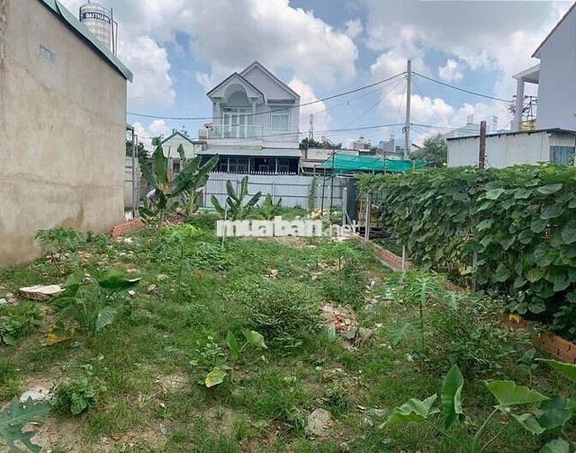 Cần bán gấp lô 180m2 đất Đ.Gia Tân, Gia Lộc, Trảng Bàng giá 600tr SHR