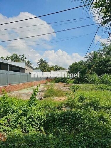 nền rộng trên 300m2 bán giá chưa tới 2,5 tỷ