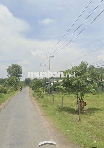 1117m2 đường nhựa nối 2 KCN lớn. Dân đông. 890tr