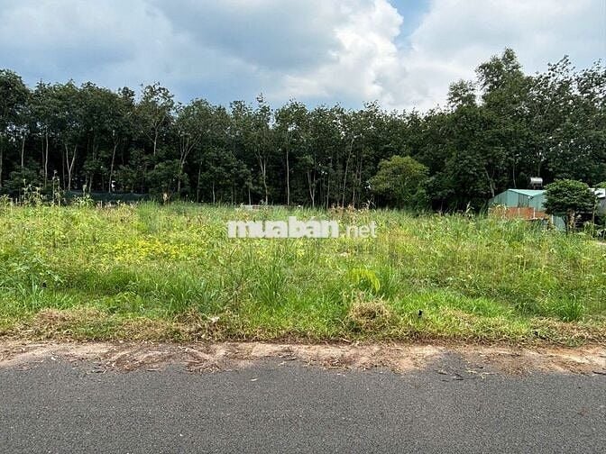 830TR SỞ HỮU NGAY LÔ ĐẤT TẠI TÂN PHÚ TRUNG – CỦ CHI