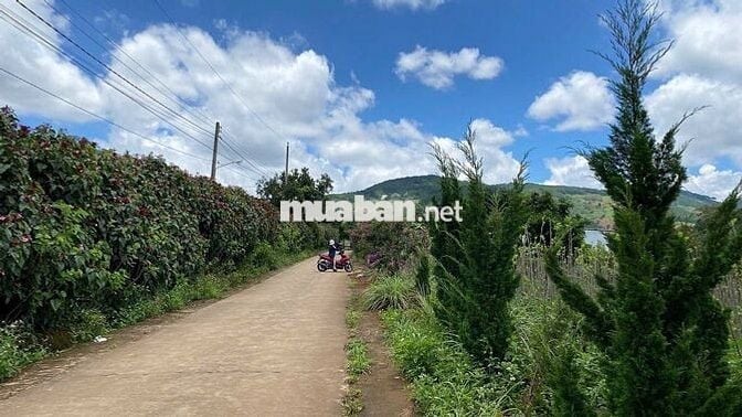 CHÍNH CHỦ BÁN FULL THỔ CƯ , CÓ 100 TC TT NAM BAN