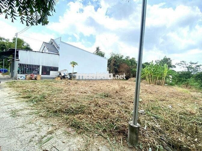 Ngay đường D835 của Mỹ Lộc - Cần Giuộc sổ hồng riêng, 650tr/100m2 thổ