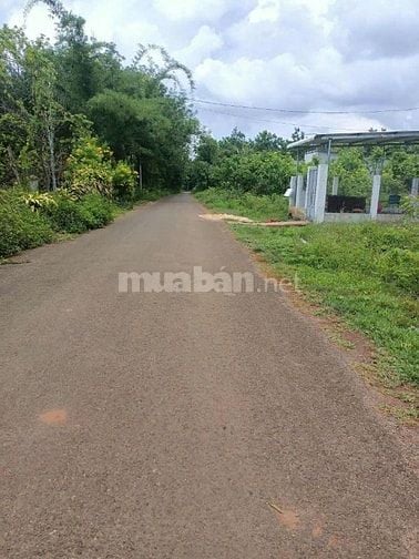 🏡 Bán đất Lộc Hưng – Lộc Ninh, Bình Phước | 196m² | Giá chỉ 580 triệu