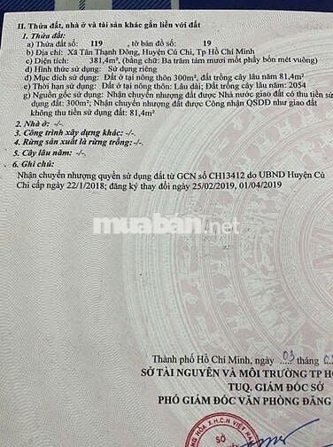 Chinh chủ ban đất Tân Thạnh Đông, Củ Chi, DT 10x39m,