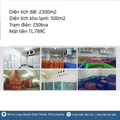 Chuyển nhượng nhà kho bảo quản trái cây + xưởng