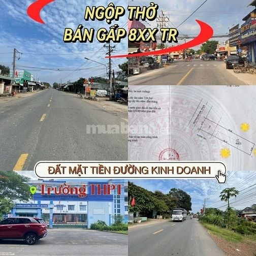 Bán ngộp gấp đất mặt tiền đường kinh doanh 32m, gần trường cấp 3. 890t