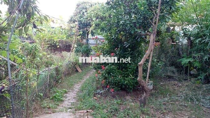 Nhà Cấp 4 tại ngõ 120 Phố Nhổn, Đường 32, Tây Tựu