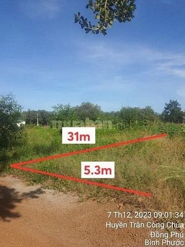 Công ty Đấu giá hợp danh Lam Sơn Sài Gòn THÔNG BÁO ĐẤU GIÁ TÀI SẢN