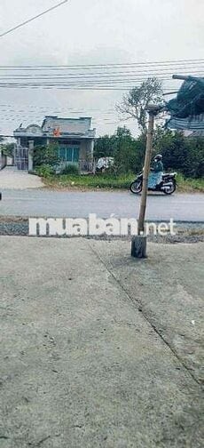 Bán nhà mặt tiền ql54 diện tích rộng vị trí thuận tiện kinh doanh