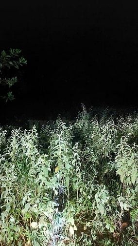 Công ty Đấu giá hợp danh Sao Việt 