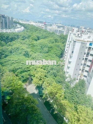 EMERALD CELADON CITY CHO THUÊ CĂN HỘ NỘI THẤT CƠ BẢN 63m2 2PN 1WC