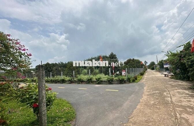 Cần sang lô đất 281m2 trục đường DH kinh doanh đa ngành nghề