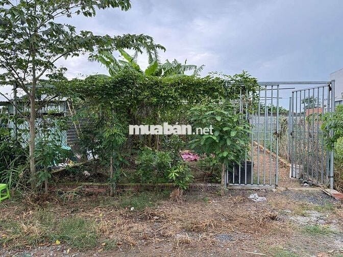 CHÍNH CHỦ CẦN BÁN LÔ ĐẤT 152m SAU LƯNG ỦY BAN XÃ PHƯỚC VÂN