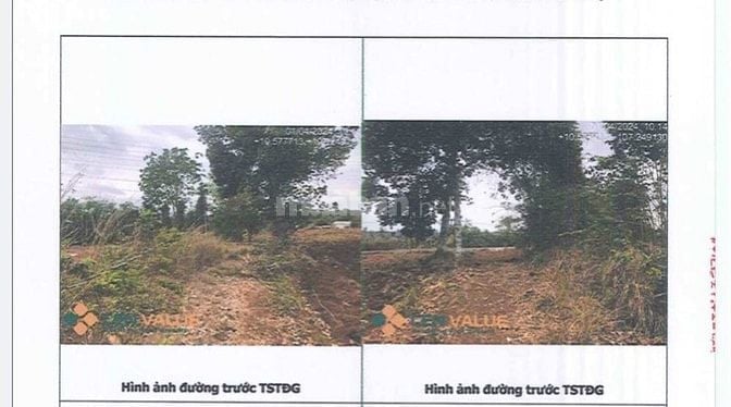 BÁN ĐẤU GIÁ TS VIB L8_XÃ ĐÁ BẠC, CHÂU ĐỨC, BRVT (NAY LÀ TP.HCM)