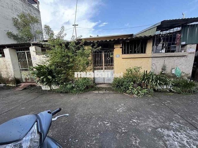 🔥 SIÊU HIẾM – ĐẤT PHÂN LÔ GIÁO VIÊN TRÂU QUỲ – DÒNG TIỀN CỰC CHẤT! 🔥