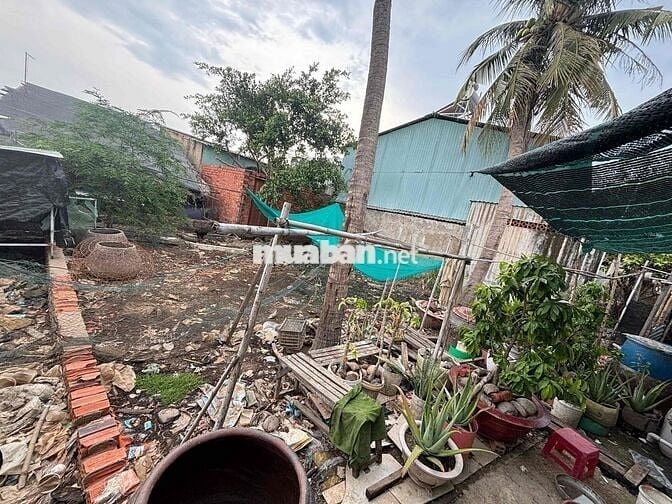 Bán đất Thổ Cư Chính Chủ 80m2 Xã Bình Khánh Cần Giờ(còn thương lượng)