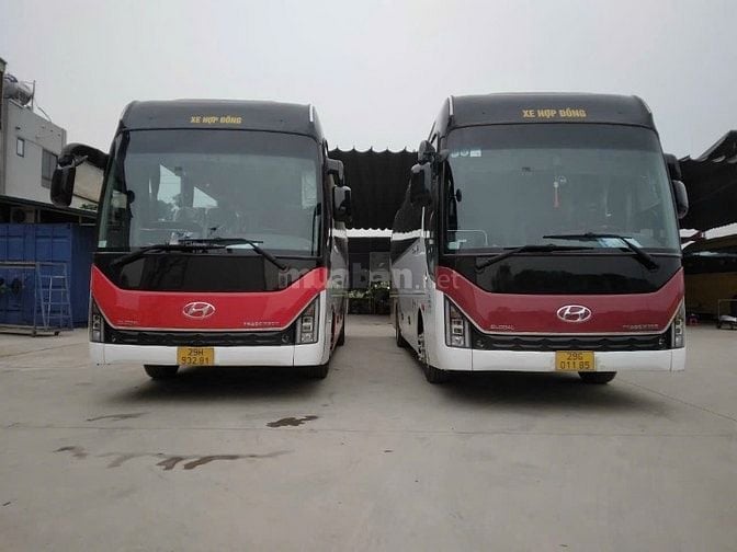 Cần tuyển lái xe hạng D, E chạy du lịch xe 16, 29, 35, 45 chỗ