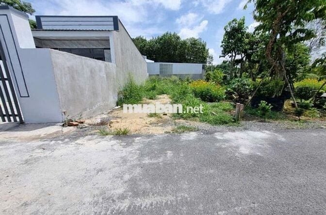 Hàng ngộp bán gấp lô đất giá rẻ 550tr Nguyễn Thị Rành - Cù Chi , SHR