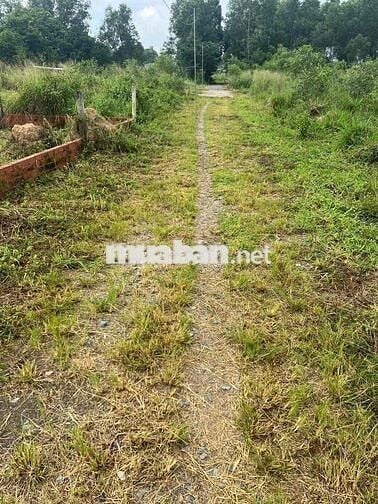 đất đồng sở hữu 100met đến 121 met Vĩnh thanh Nhơn Trạch