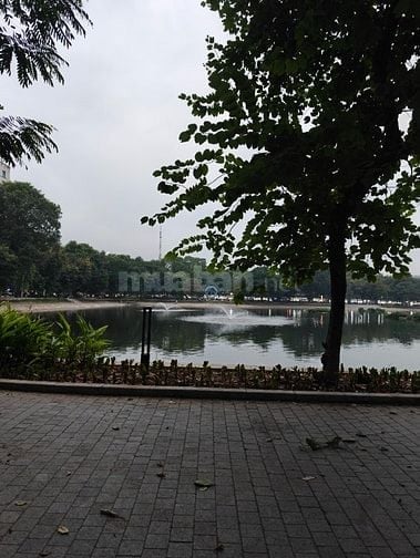 Cần một nữ dưới 40 tuổi làm nhổ tóc bạc 