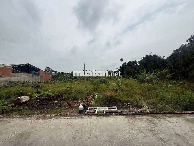 ĐẤT 141M2 CÓ 60M2 THỔ CƯ MẶT TIỀN ĐUONG BÊ TÔNG 3M XÃ AN SƠN THUÂJ AN