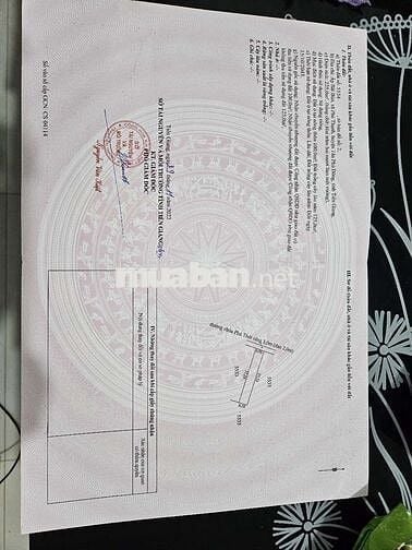 Chính chủ bán đất SHR ,Tiền Giang.giá bán gấp