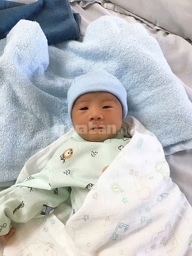 Dịch vụ sửa chữa vi tính tận nơi