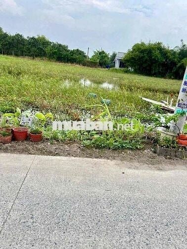 Đất Nền Gần cầu xáng Tỉnh Lộ 10 cụm KCn Tân Đức Tân Đô Hải sơn